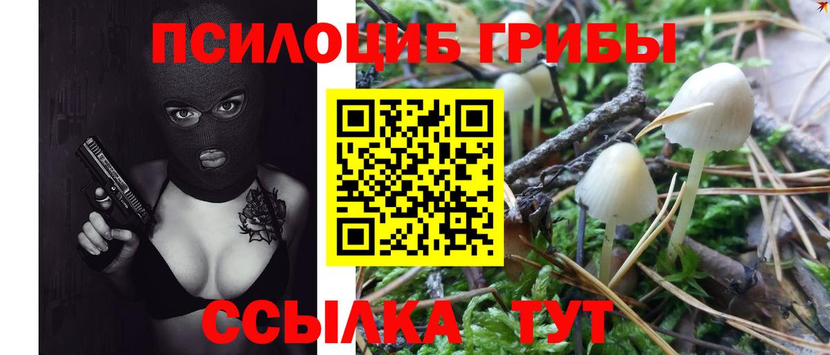 Туапсе  Галлюциногенные грибы Magic Shrooms  магазин продажи   Вход с VPN  Галлюциногенные грибы Psilocybine cubensis 