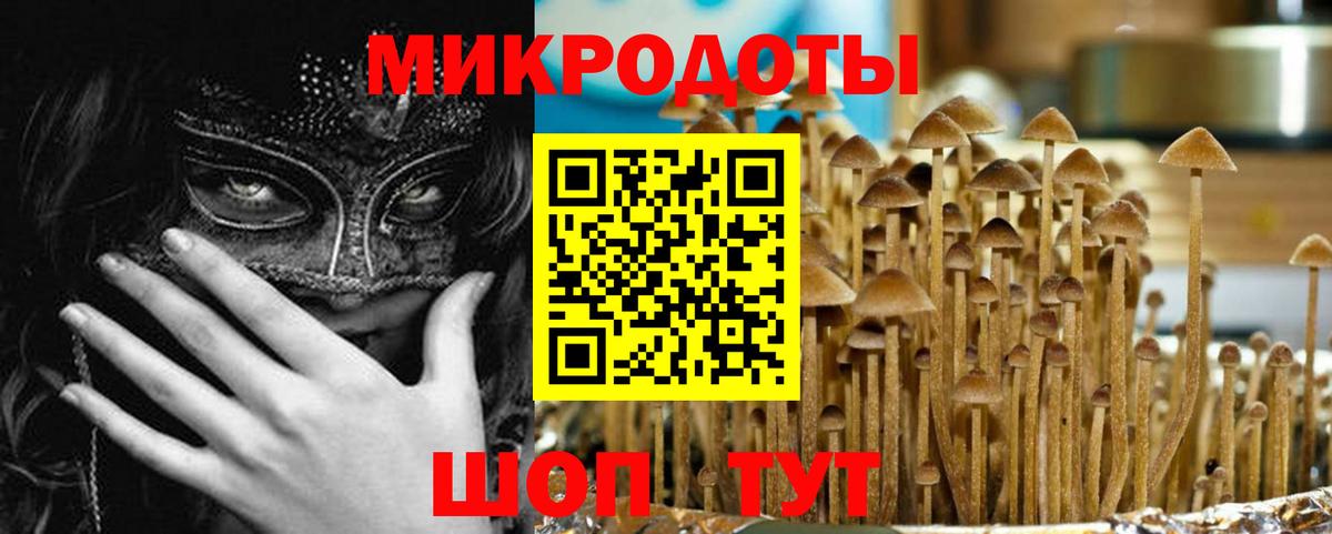 Галлюциногенные грибы прущие грибы Туапсе