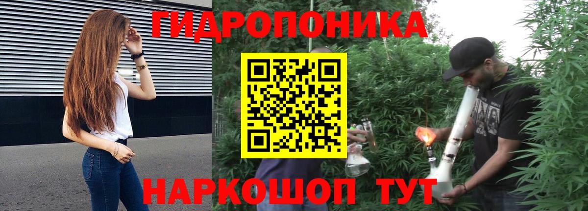 Бошки Шишки гибрид Туапсе